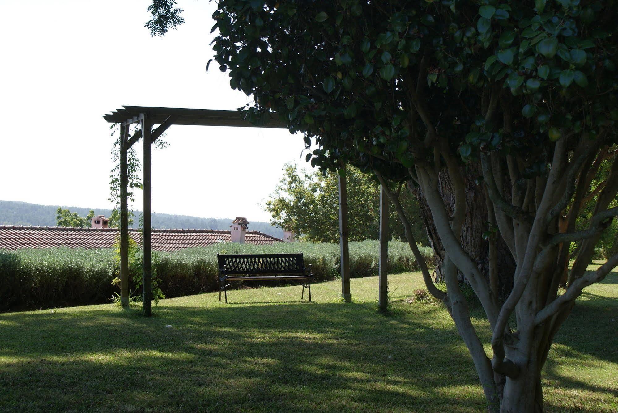 בית הארחה ויאנה דו קסטלו 	Quinta Do Paco D'Anha מראה חיצוני תמונה